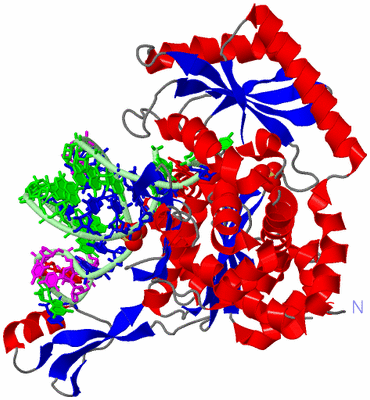 Image Asym./Biol. Unit