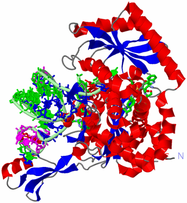 Image Asym./Biol. Unit - sites