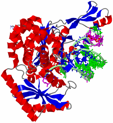 Image Asym./Biol. Unit