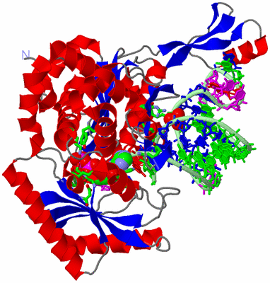 Image Asym./Biol. Unit - sites