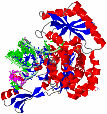 Image Asym./Biol. Unit