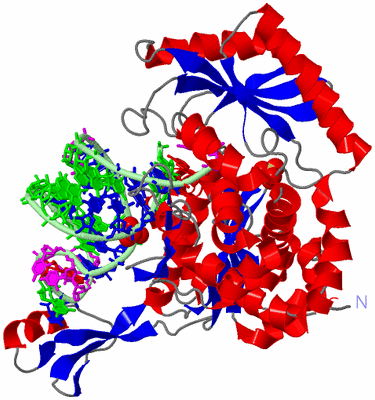 Image Asym./Biol. Unit