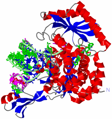 Image Asym./Biol. Unit - sites