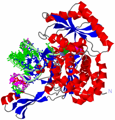 Image Asym./Biol. Unit