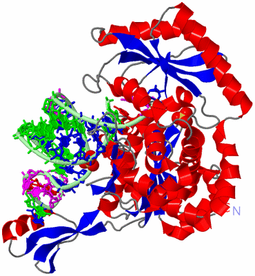 Image Asym./Biol. Unit