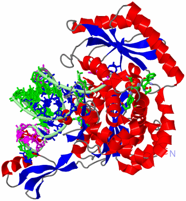 Image Asym./Biol. Unit - sites