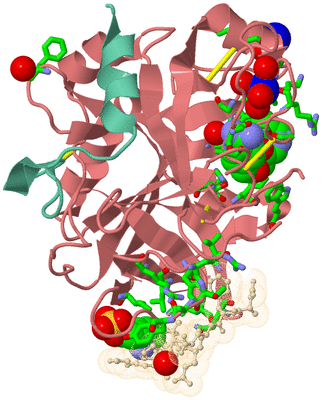 Image Asym./Biol. Unit - sites