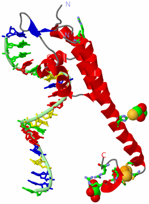 Image Asym. Unit - sites