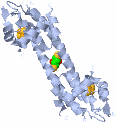 Image Biological Unit 1