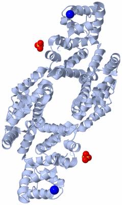 Image Biological Unit 1