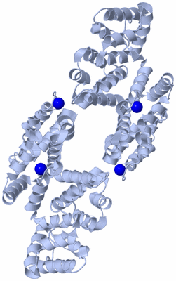 Image Biological Unit 1