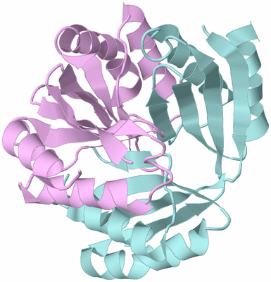 Image Biological Unit 3