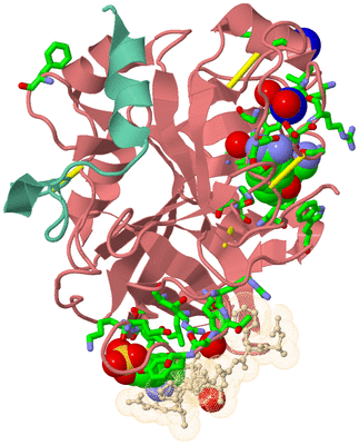 Image Asym./Biol. Unit - sites