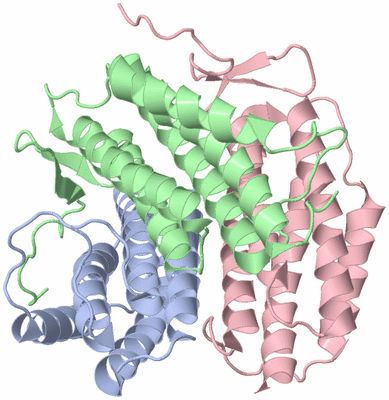 Image Asym./Biol. Unit