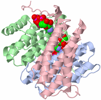 Image Asym./Biol. Unit