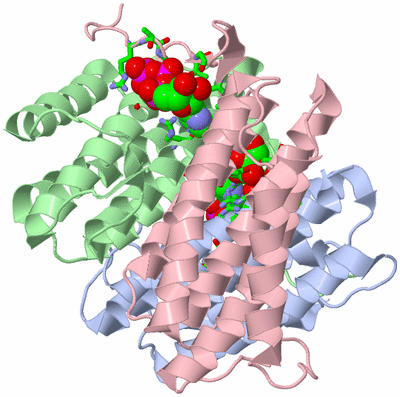 Image Asym./Biol. Unit - sites