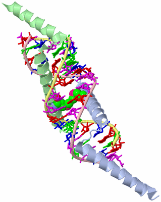 Image Biological Unit 1