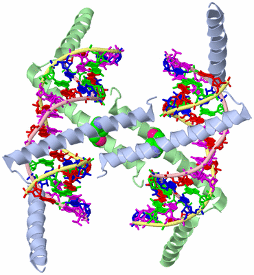 Image Biological Unit 2