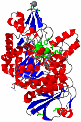 Image Asym./Biol. Unit - sites