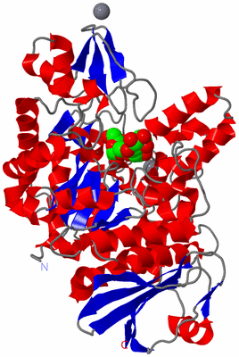 Image Asym./Biol. Unit