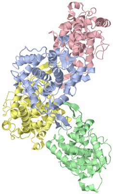 Image Asym./Biol. Unit