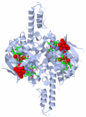 Image Biol. Unit 1 - sites
