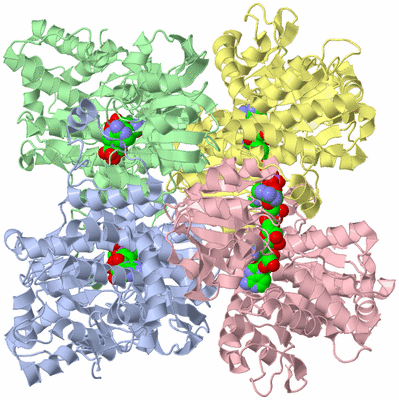 Image Asym./Biol. Unit