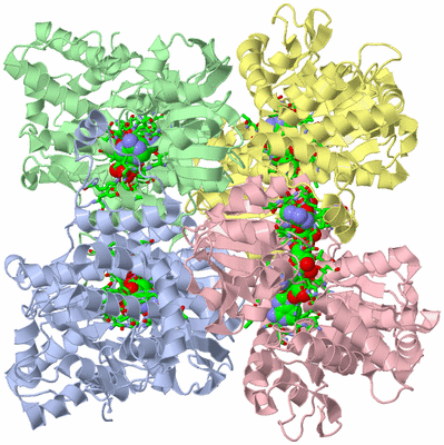 Image Asym./Biol. Unit - sites