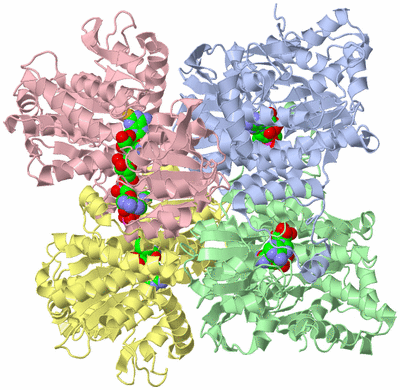 Image Asym./Biol. Unit