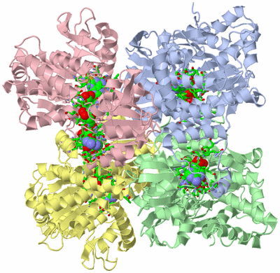 Image Asym./Biol. Unit - sites