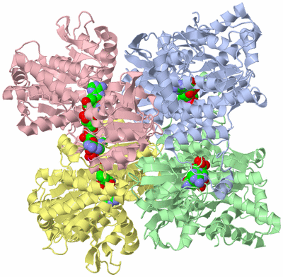 Image Asym./Biol. Unit