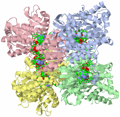 Image Asym./Biol. Unit - sites