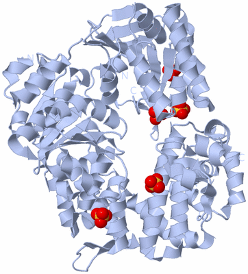 Image Biological Unit 1