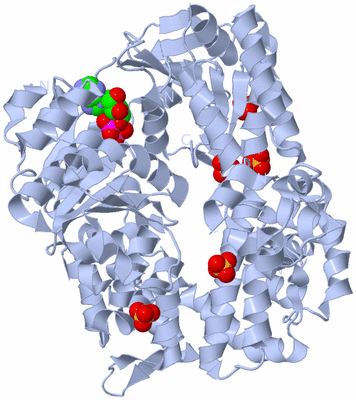 Image Biological Unit 1