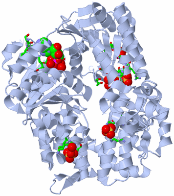 Image Biol. Unit 1 - sites