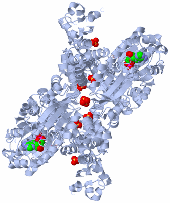 Image Biological Unit 2