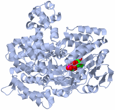 Image Biological Unit 1