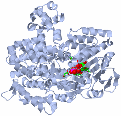 Image Biol. Unit 1 - sites