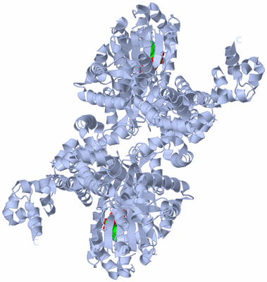 Image Biological Unit 2