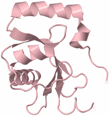 Image Biological Unit 3