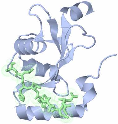 Image Biological Unit 5