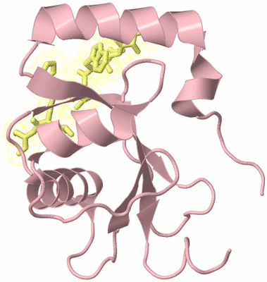 Image Biological Unit 6