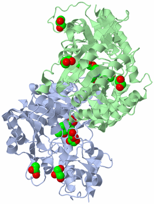 Image Asym./Biol. Unit