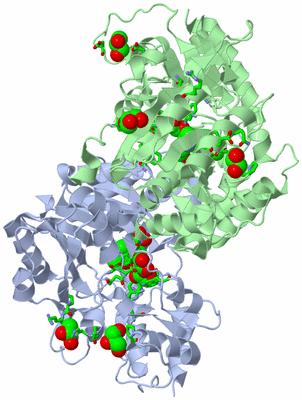 Image Asym./Biol. Unit - sites