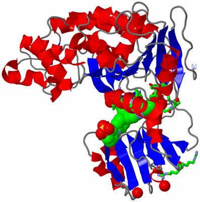 Image Asym./Biol. Unit - sites