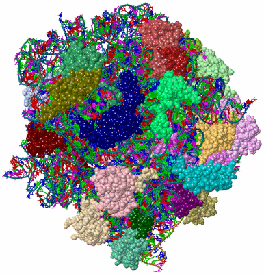 Image Asym./Biol. Unit - sites