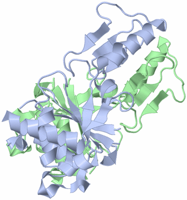 Image Asym./Biol. Unit