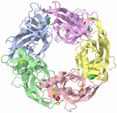 Image Asym./Biol. Unit