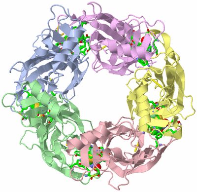 Image Asym./Biol. Unit - sites