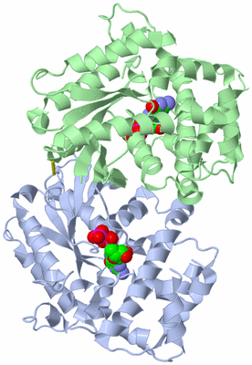 Image Asym./Biol. Unit